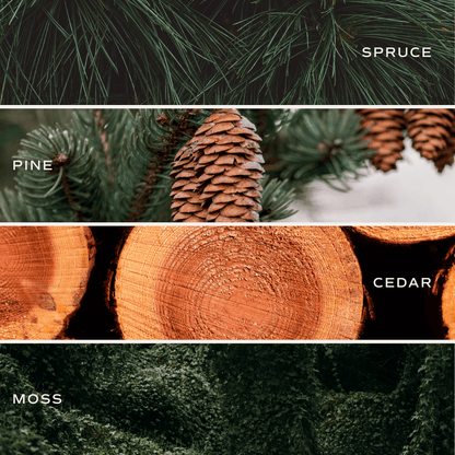 Holiday Cheer Soy Candle - Olive Matte Jar - 15 oz (Christmas Tree)