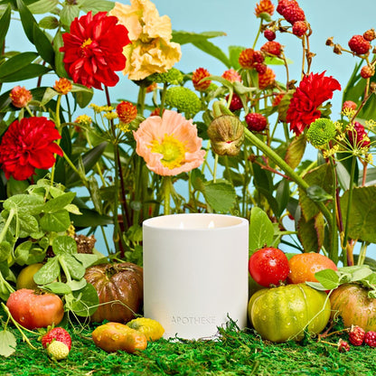 Tomato Tarragon 2-Wick Candle