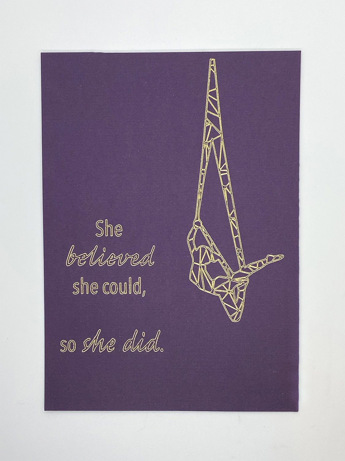 she believed she could foil print aerial hammock