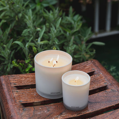 Wild Mint and Ivy 3-Wick Candle