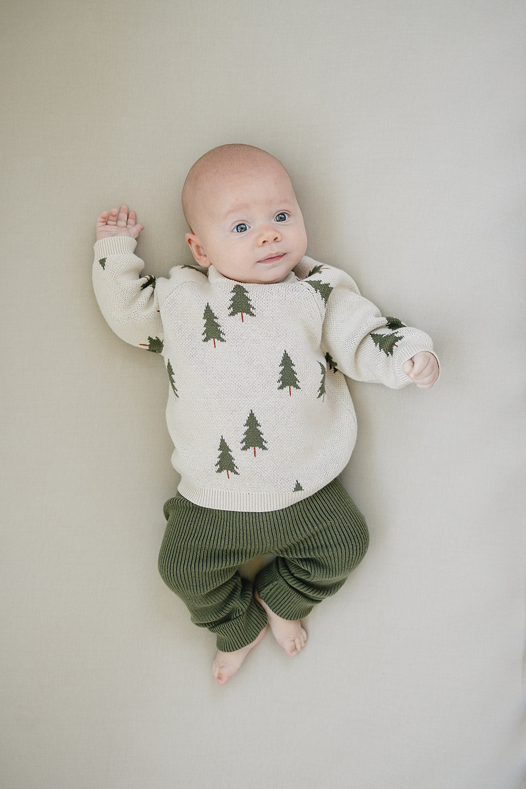 Pines Knit Sweater