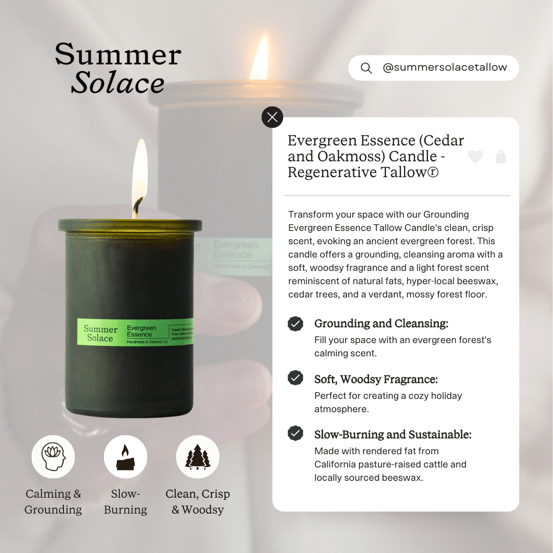 Evergreen Essence – Cedar & Oakmoss Candle | 6 oz Tallow & Beeswax