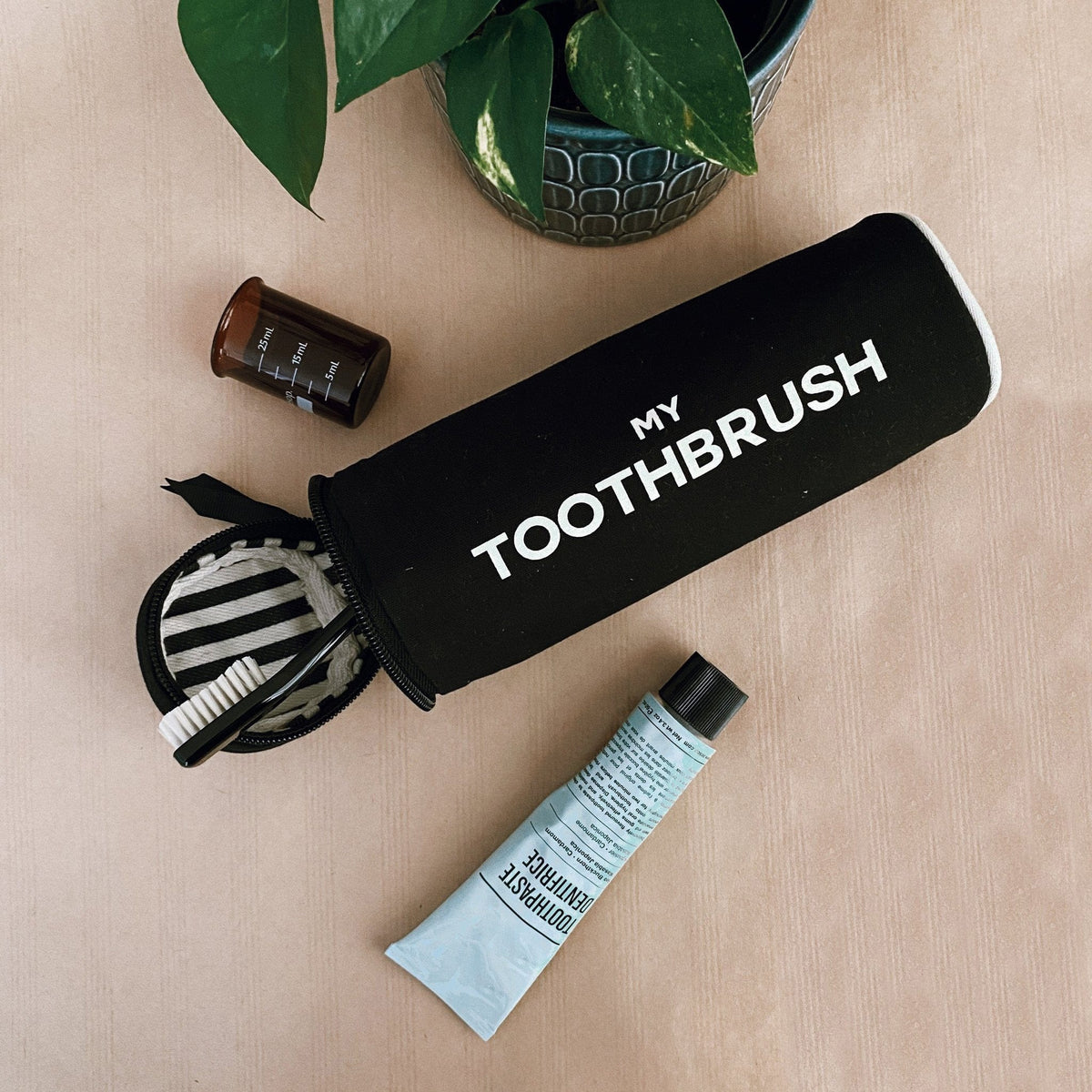 Toothbrush Travel Case – Black